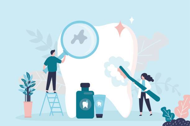 Best Dental X-Rays and Imaging  in Neptune Beach, FL